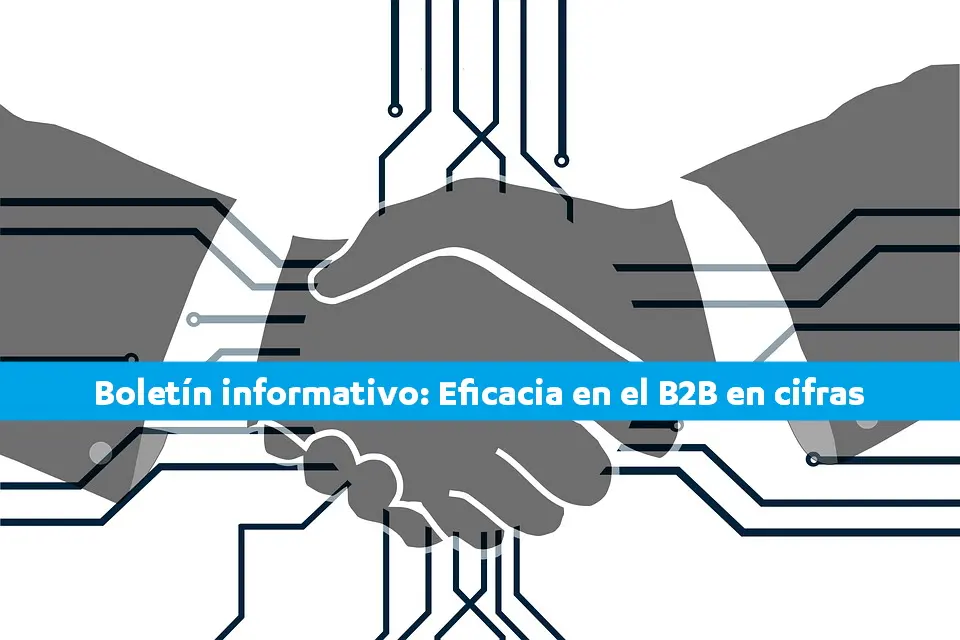 Boletín informativo: Eficacia en el mercado B2B en cifras