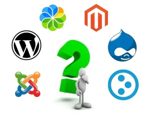 ¿Cuándo se debe usar o no un CMS?