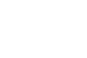 Logotipo de Sanfer