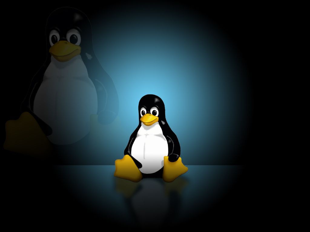 ¿Qué Linux es mejor? o ¿Qué distribución de Linux te conviene?